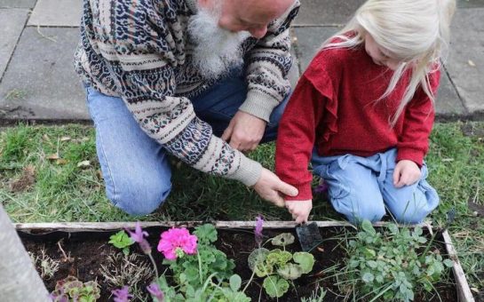 citizens of merton planting in the borough