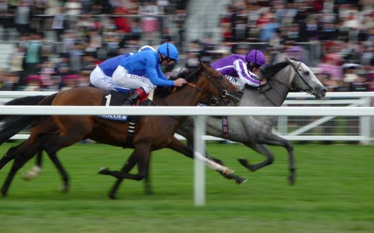 two horses race for the line
