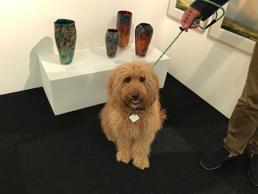 Hamish the dog going around the Affordable Art Fair Battersea.