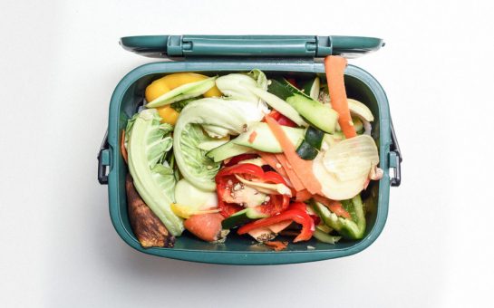 Food waste collection bin