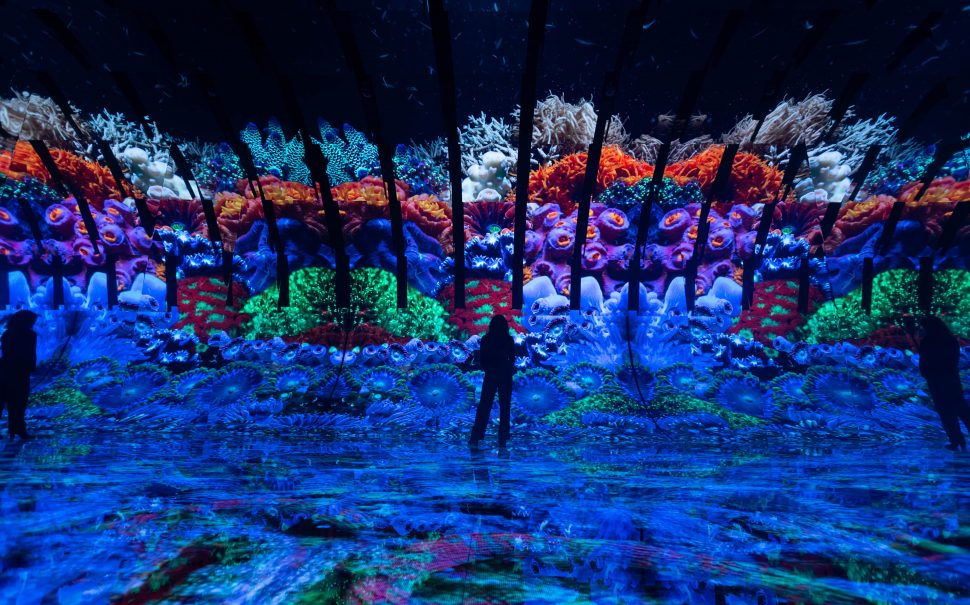 ‘The Blue Paradox’ immersive experience on ocean plastic crisis comes