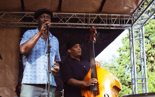 Errol Linton Live Performance