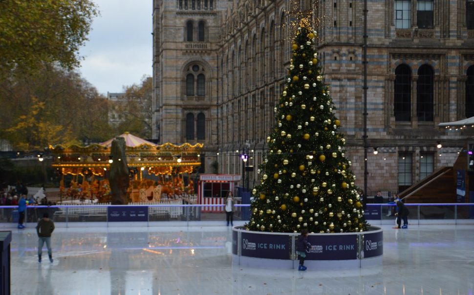 Natural History Museum’s early Christmas tree meets frosty reception