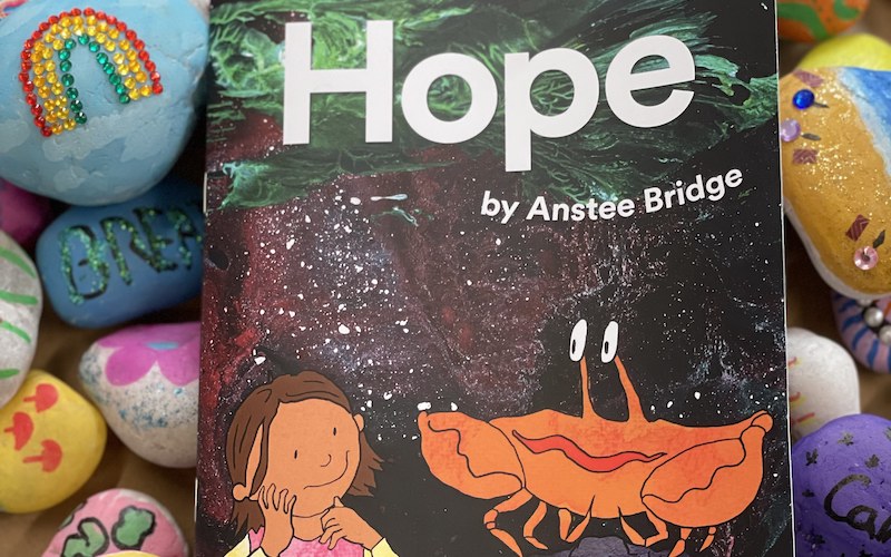 Hope, the book produced by Anstee Bridge students
