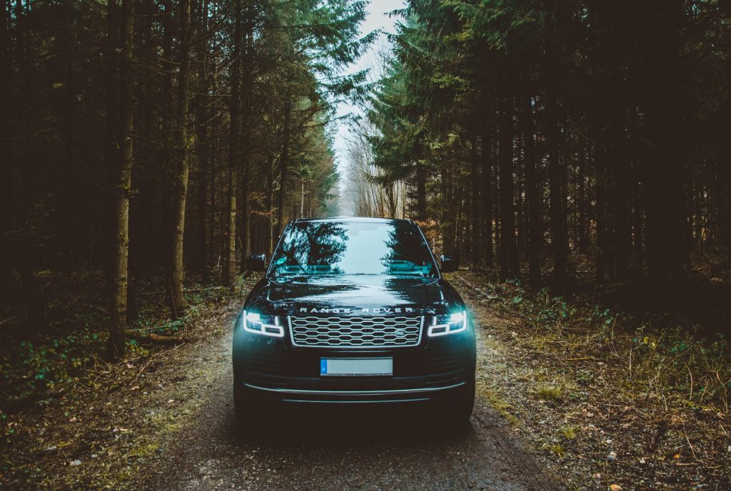 Range Rover drives through a forest