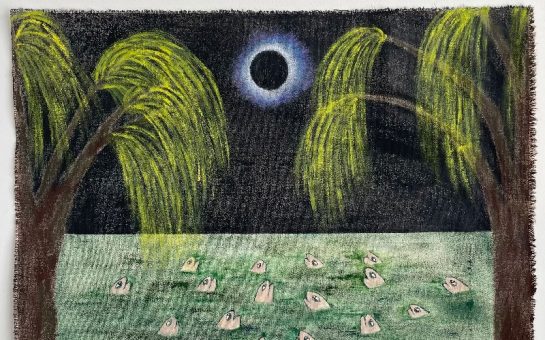 Minyoung Kim, The Longest Total Eclipse by