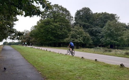 Cyclist in Richmond Park