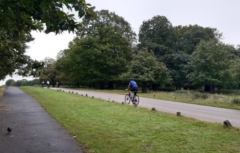 Cyclist in Richmond Park