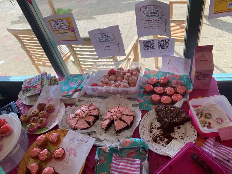 Table with baked treats for sale at the fundraiser.