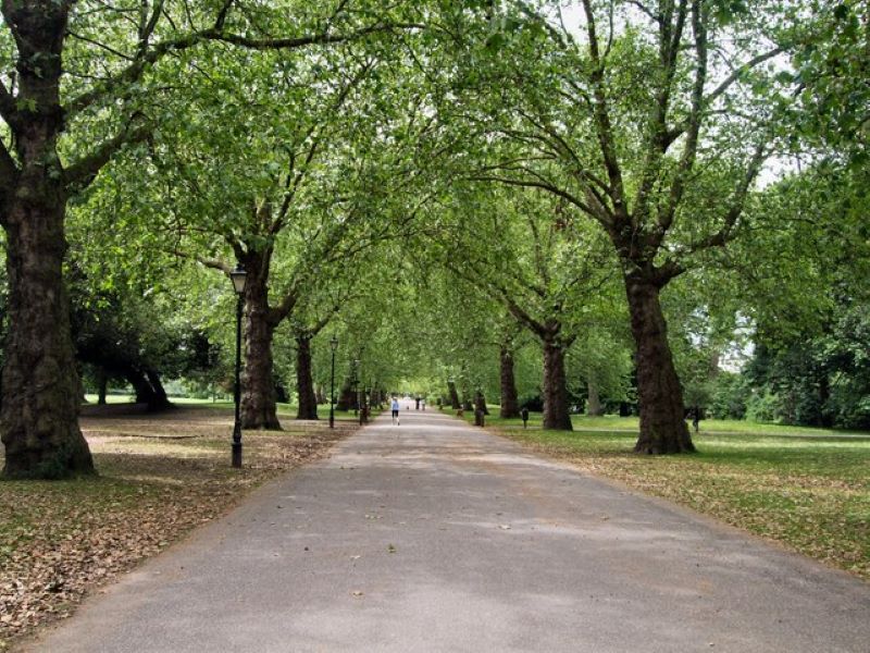 battersea park during the day