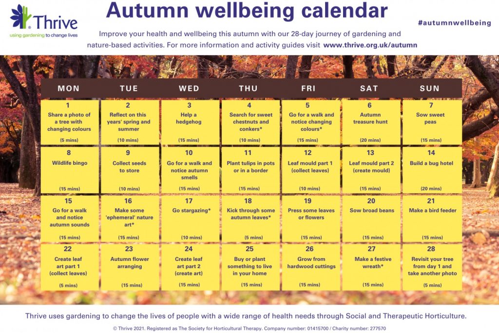 Autumn wellbeing calendar A4 1