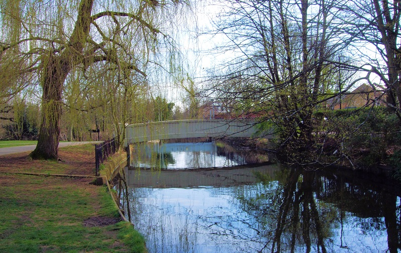 Image of bridge in Kneller Gardens