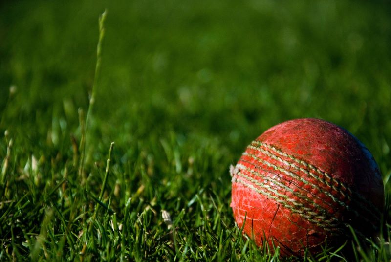 cricket ball on grass