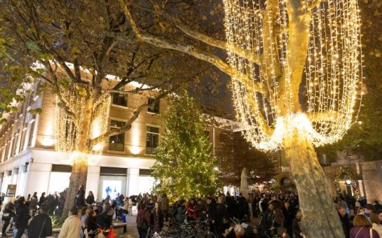 chelsea christmas lights