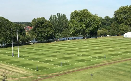 Rugby pitch with hatching at the Lensbury Club