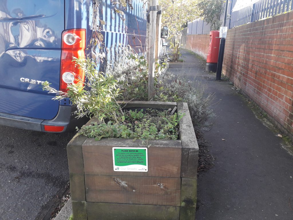 A street planter with some herbs growing inside and a sign reading: 'Please water me'
