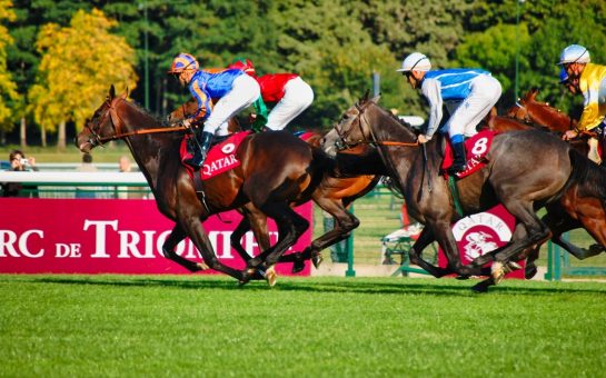 horses racing