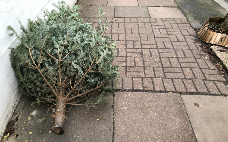 Christmas Tree Recycling Service Wandsworth