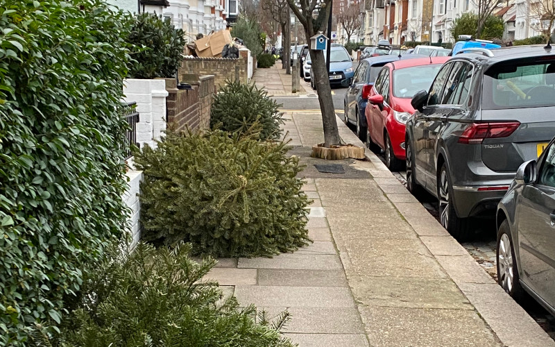 Christmas trees lining street in Wandsworth