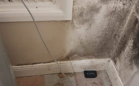 disrepair in leigham court estate