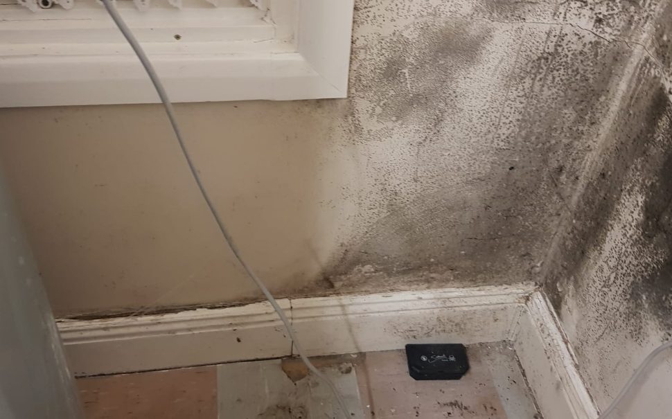 disrepair in leigham court estate