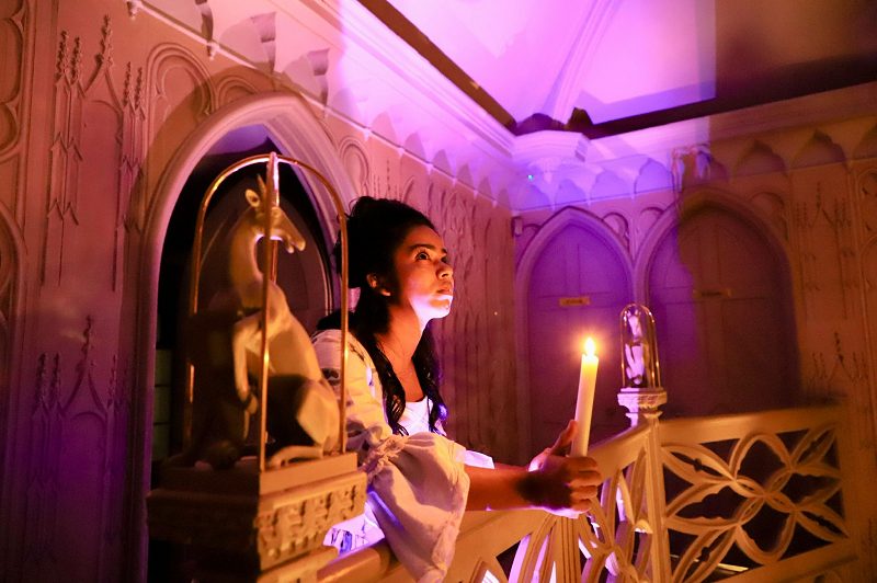 Gothic Romance Tour at Strawberry Hill House