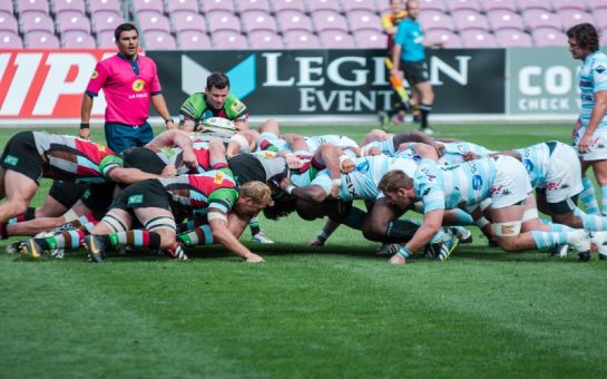 Harlequins