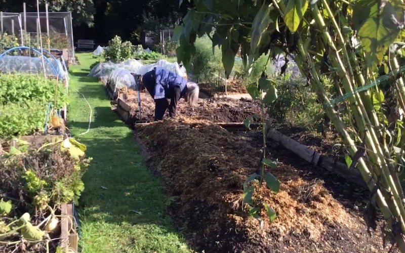 allotment