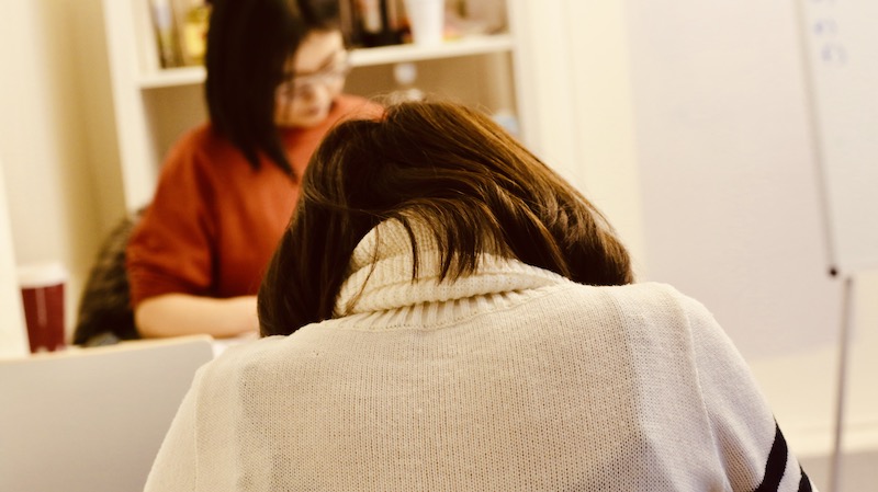 TEACHING: A member of Connect: North Korea helping a client with her English - credit CNK