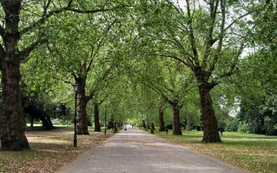 Battersea Park