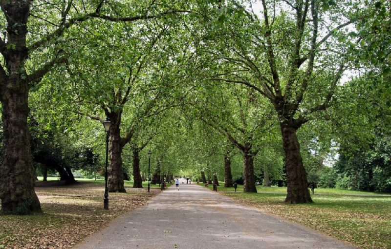 Battersea Park