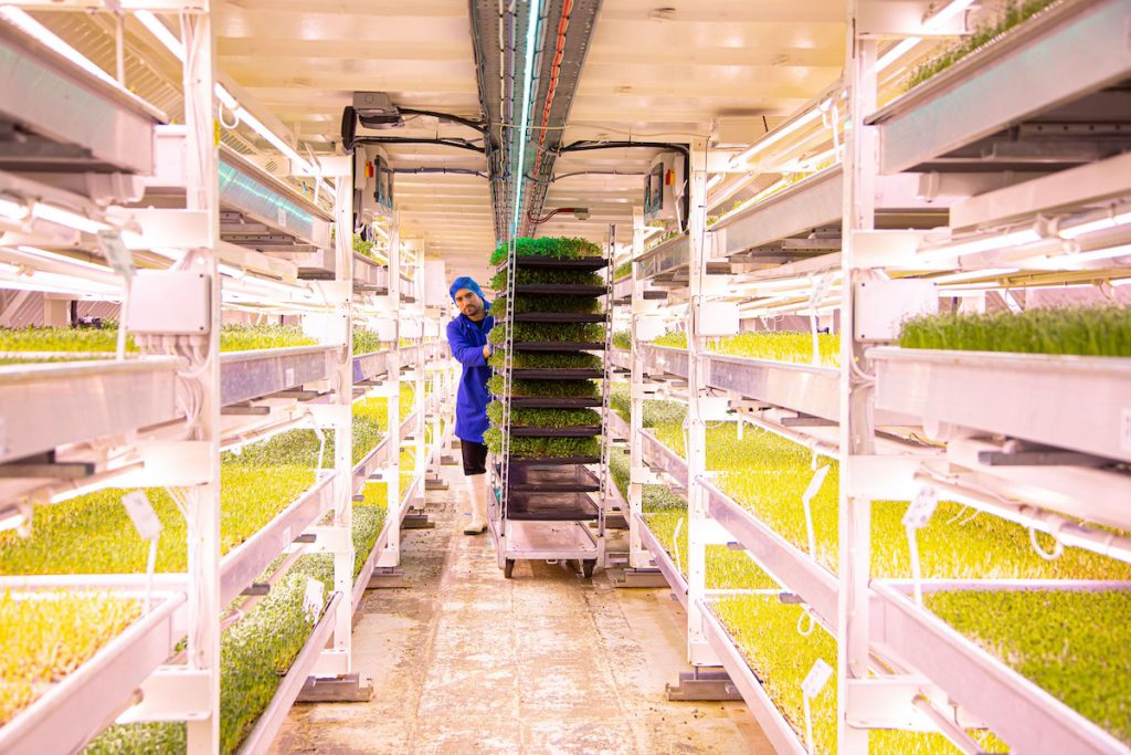 A growing Underground worker pushes a tray of seeds through the site