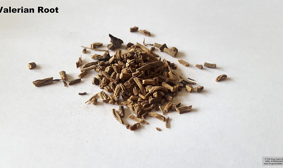 valerian root