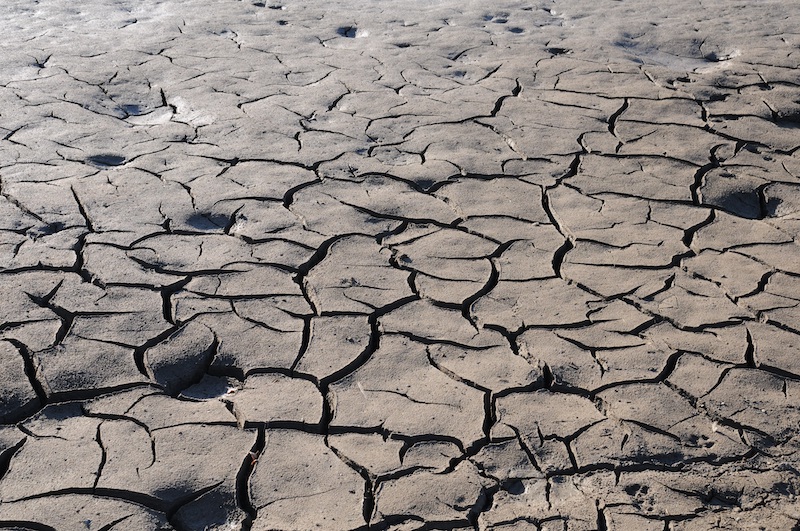 Cracked soil.