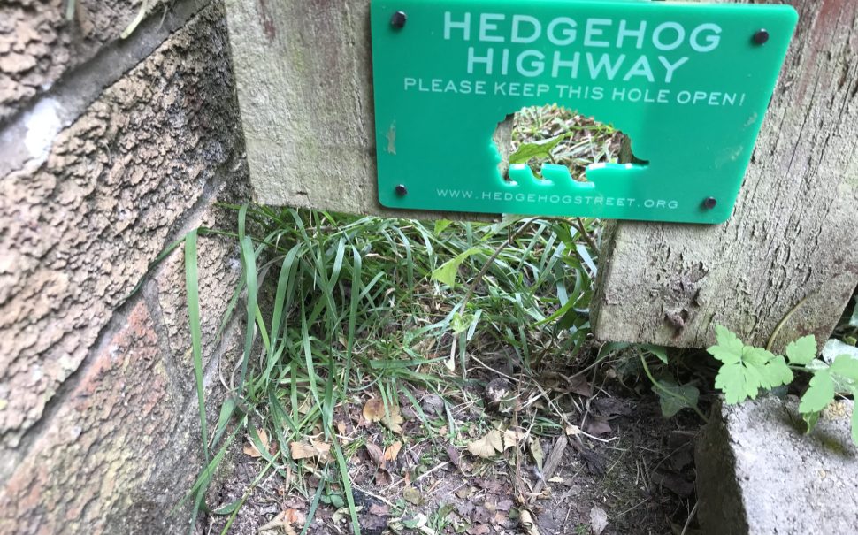 A hole in a fence as part of the hedgehog highway