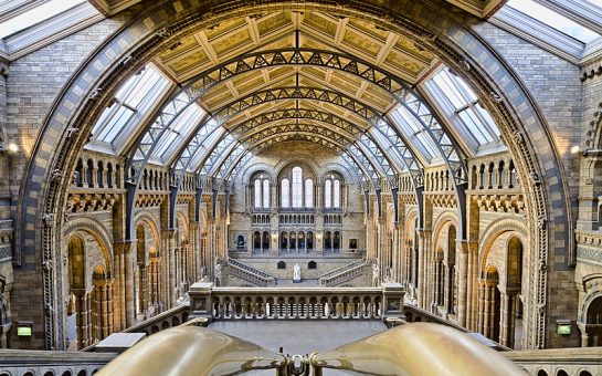 The Natural History Museum