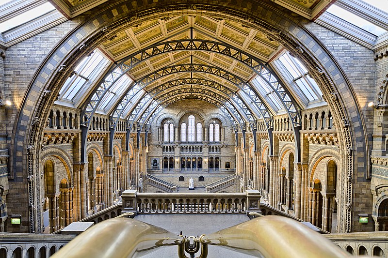 The Natural History Museum