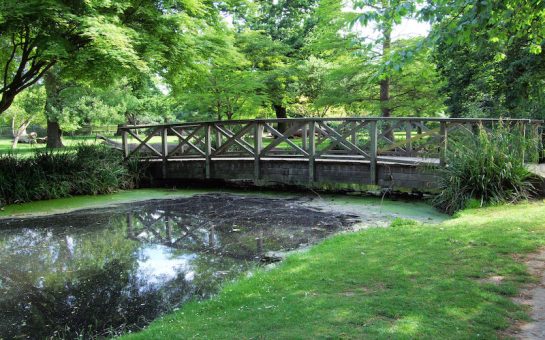 A footbridge above a stream in Bushy Park surrounded by greenery. The Queen visited Bushy Park in 2002.