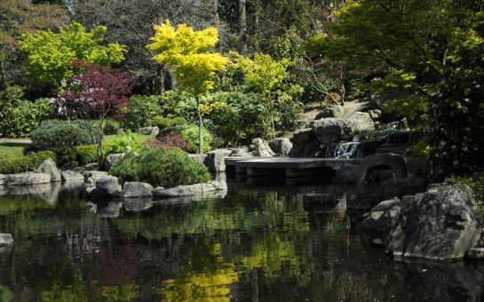 Among the list of places that scooped a Gold award for being ‘outstanding’ in imaginative planting, cleanliness, sustainability and community effort was Holland Park.