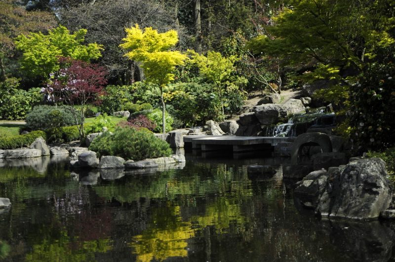 Among the list of places that scooped a Gold award for being ‘outstanding’ in imaginative planting, cleanliness, sustainability and community effort was Holland Park.