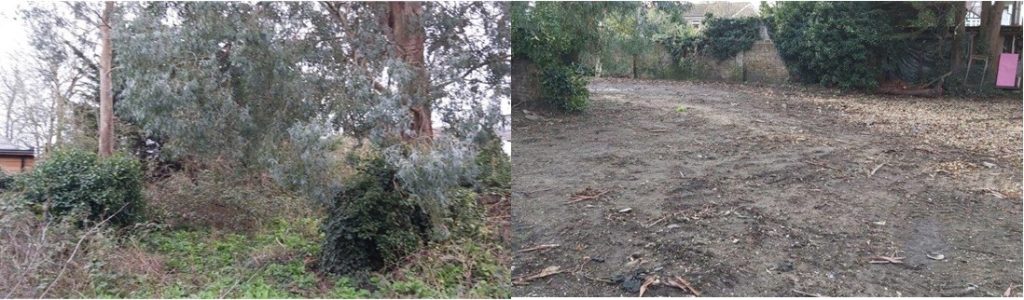 Before and after picture of the site with the ground cover intact and after the developer removed the cover. 