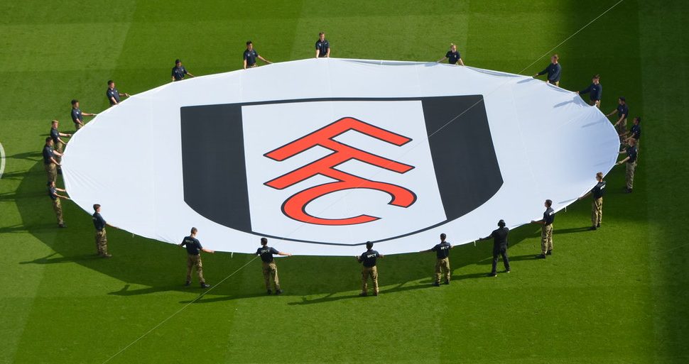 Fulham FC banner on pitch