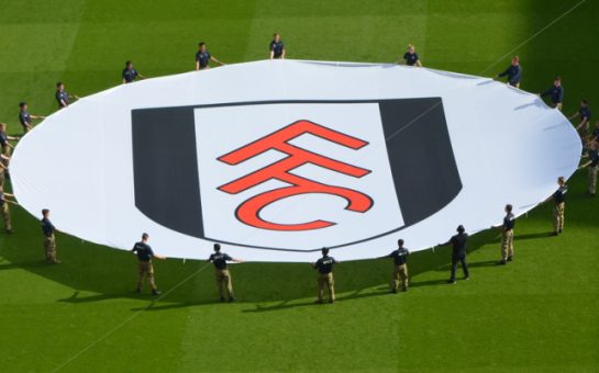 Fulham FC banner on pitch