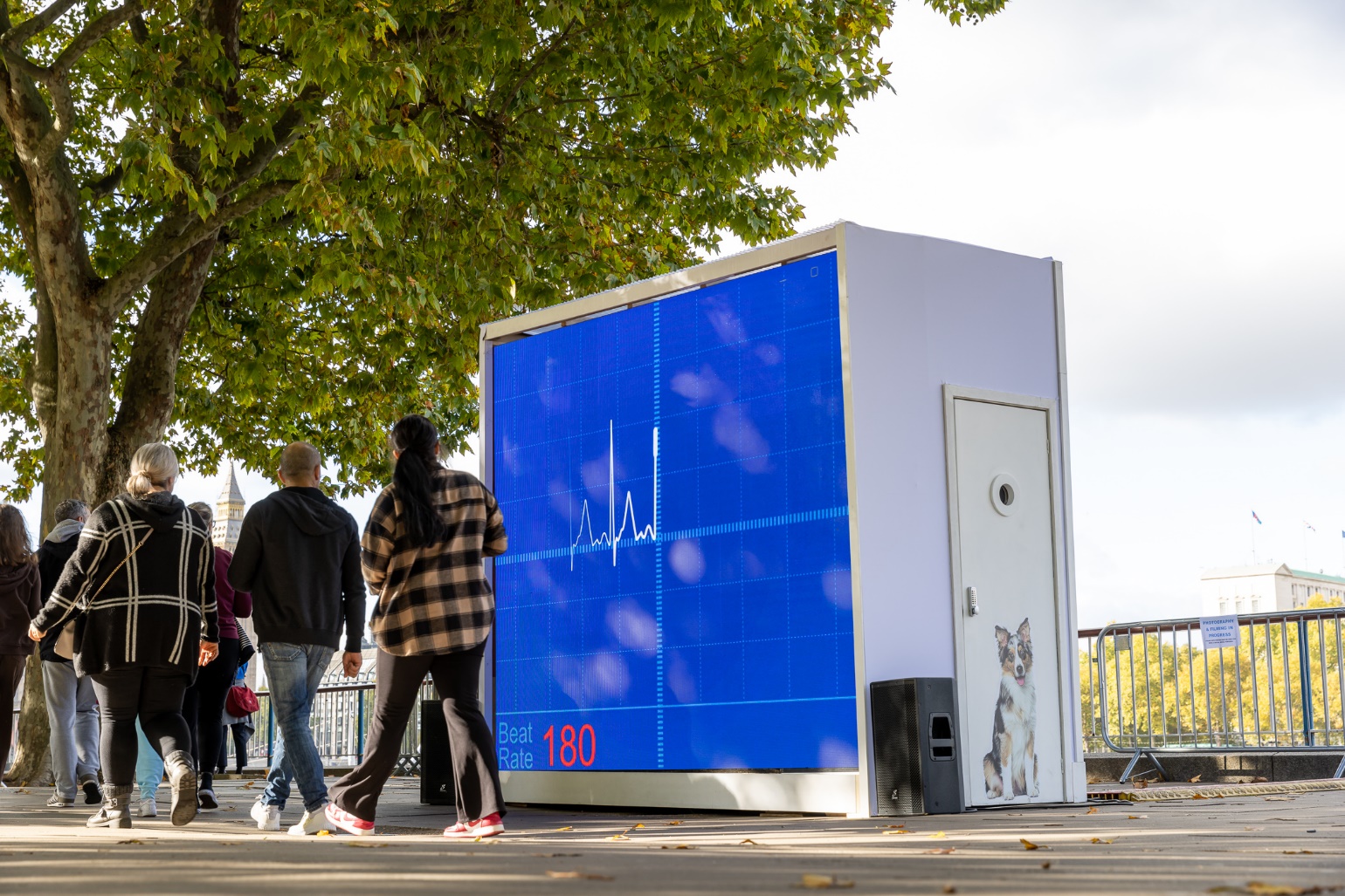 Giant ECG monitor mimicking the heart-rate of dogs when they hear fireworks.