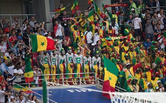 Senegal fans at the World Cup