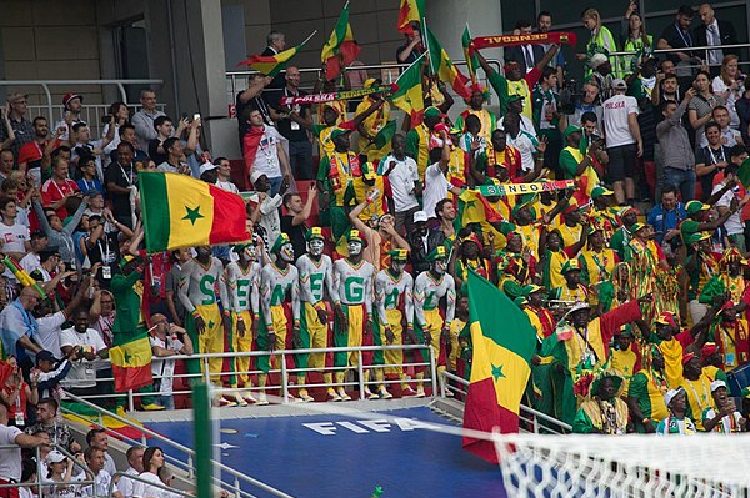 Senegal fans at the World Cup