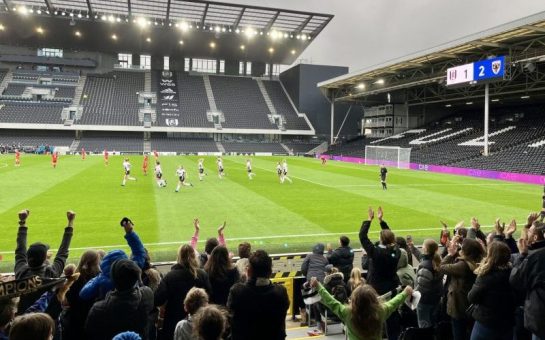 Fans at Craven Cottage