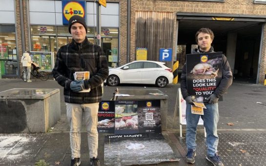 Protestors outside Lidl