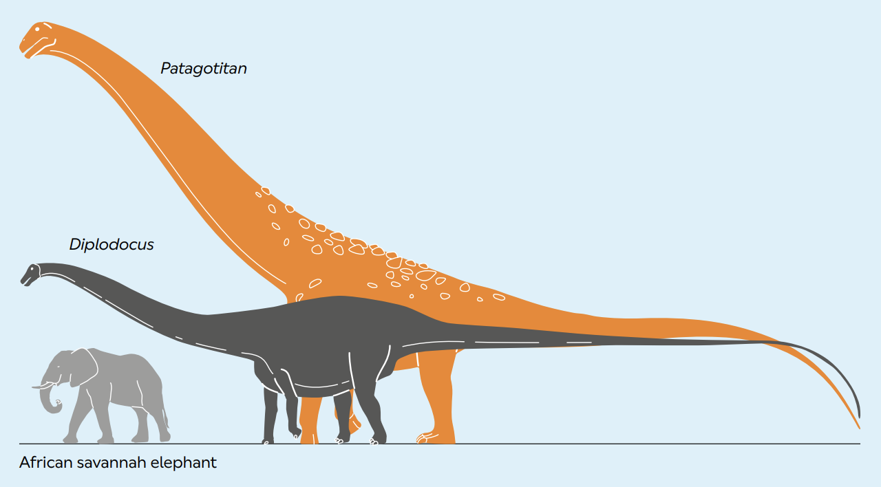 Titanosaur Largest Land Animal Ever Stomps Again At Natural History Museum the-largest-lakes-in-the-world-mappr