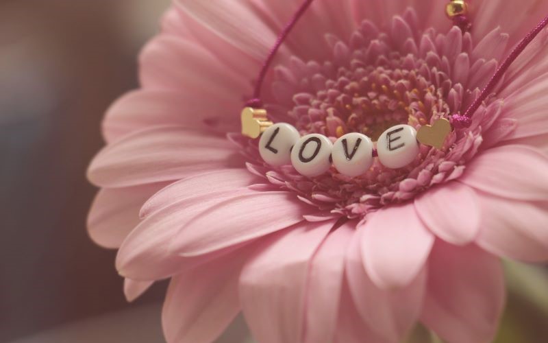 Pink flower with love written in the centre